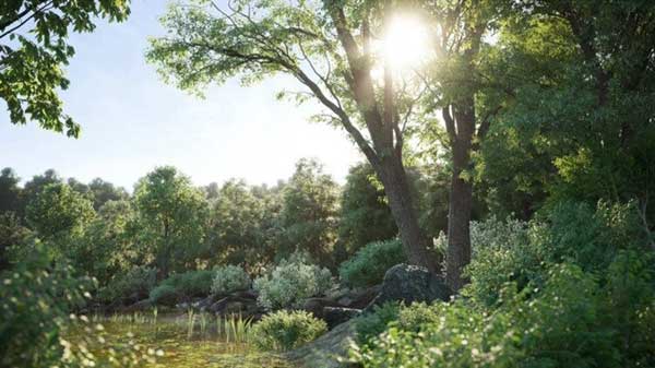 100种植物树木模型植物3D模型(3DS MAX格式) Archmodels for Corona vol.1