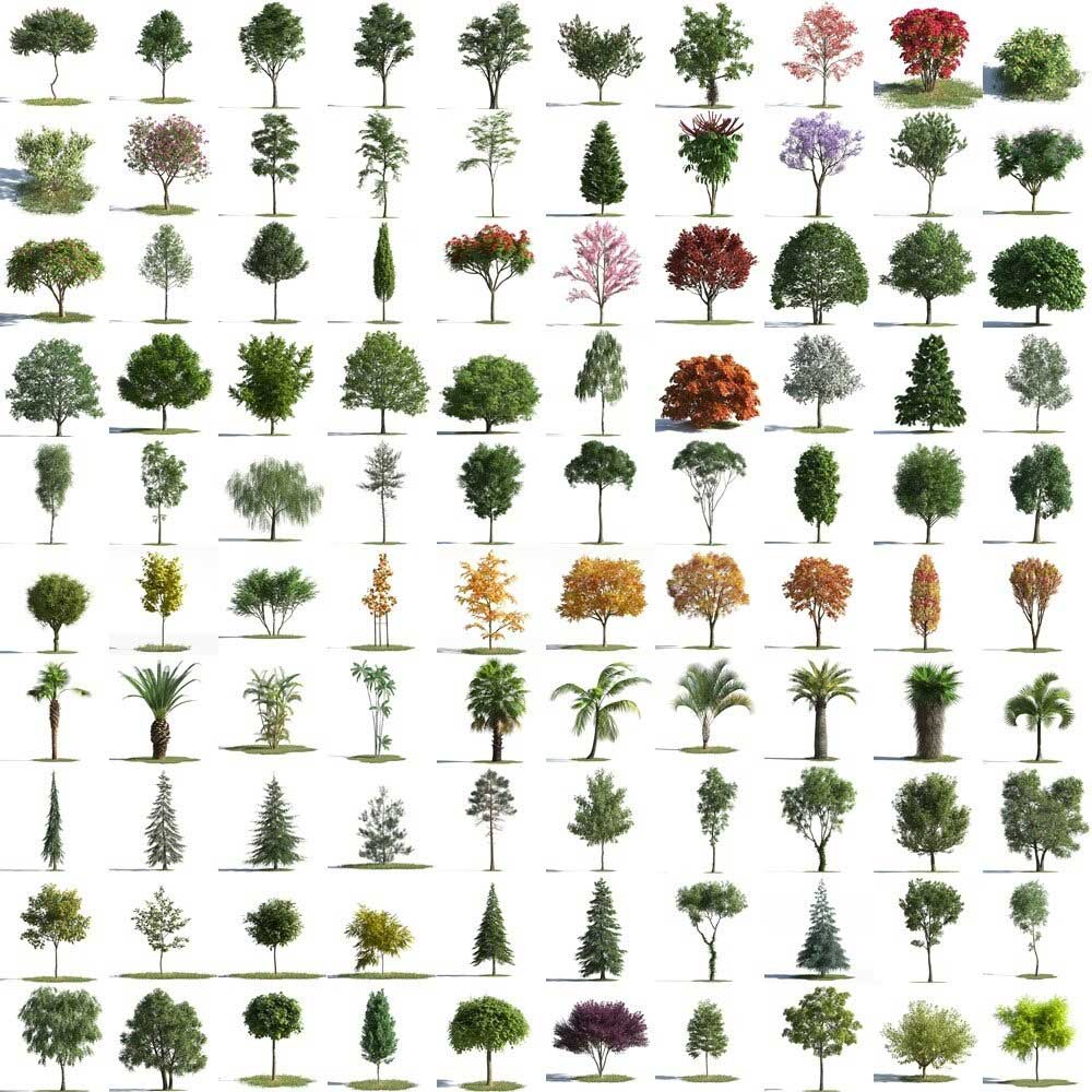 100种植物树木模型植物3D模型(3DS MAX格式) Archmodels for Corona vol.1