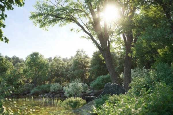 100种植物树木模型植物3D模型(3DS MAX格式) Archmodels for Corona vol.1