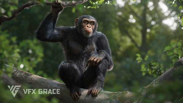 Blender黑猩猩模型动物3D模型 VFX Grace – Chimpanzee Animated