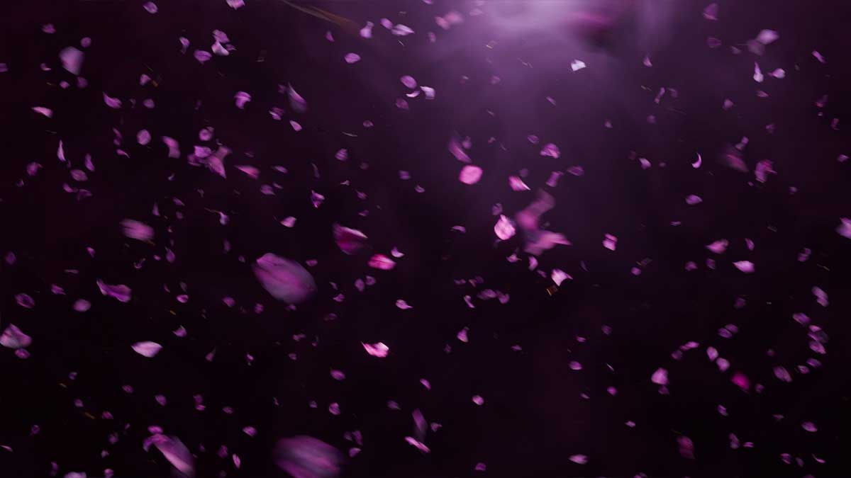 Blender火焰闪电火花灰尘花瓣树叶魔法特效资产预设 Omega Particle Fx V0.4.5