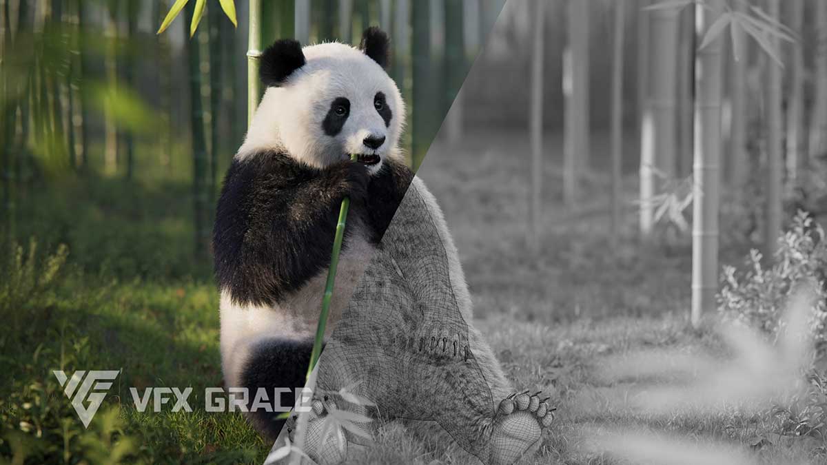 Blender写实大熊猫动画绑定3D模型 Panda Animation Vfx Grace