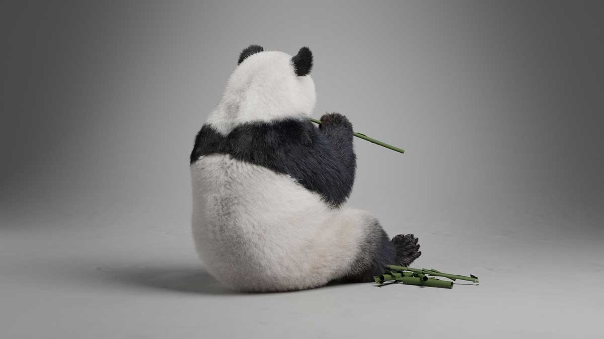 Blender写实大熊猫动画绑定3D模型 Panda Animation Vfx Grace