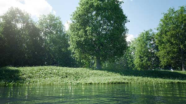 程序化树木生成Blender插件 Trees by Wolf V1.1