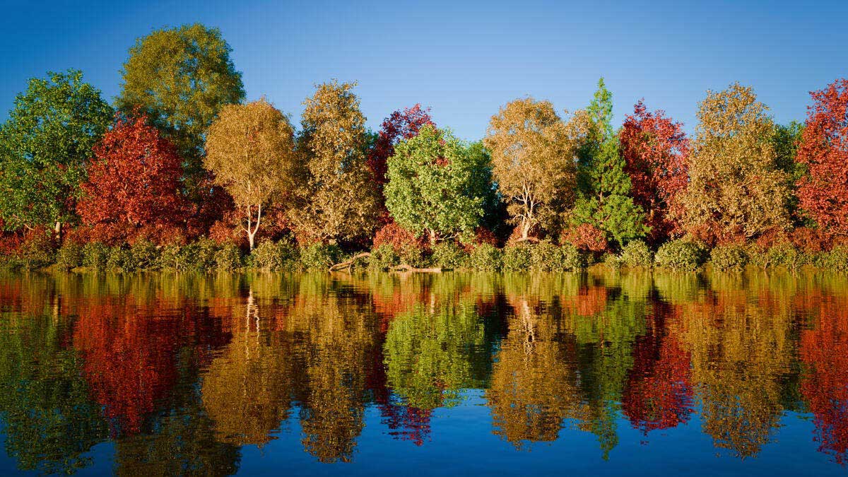 程序化树木生成Blender插件 Trees by Wolf V1.1