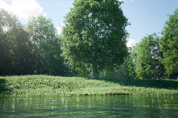 程序化树木生成Blender插件 Trees by Wolf V1.1