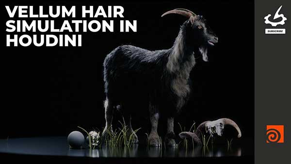 Houdini角色头发毛发物理模拟特效教程(中文字幕) The Gnomon Workshop – Vellum Hair Simulation in Houdini