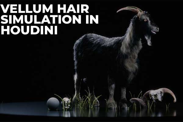 Houdini角色头发毛发物理模拟特效教程(中文字幕) The Gnomon Workshop – Vellum Hair Simulation in Houdini