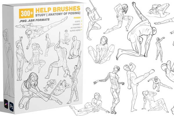 PS/Procreate人体姿态解剖绘画画笔笔刷素材 300 Help Brushes Vol 2 (Study Anatomy of posing)