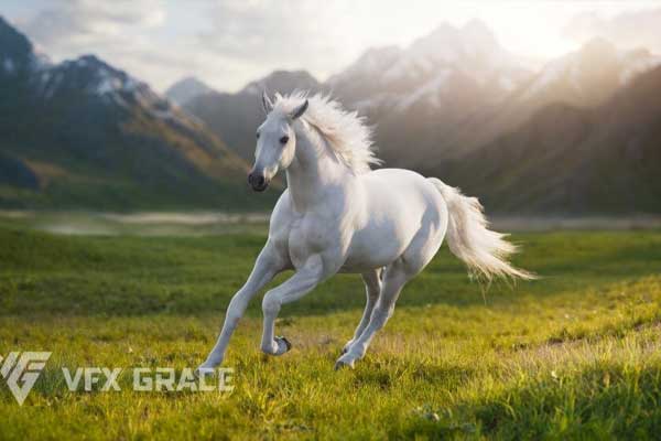 Blender白马绑定动画3D模型 3d white horse animation model – VFX Grace