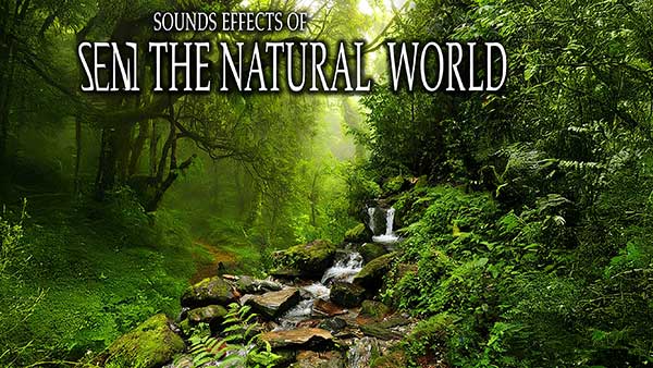 100个大自然环境氛围音效素材 Sound Ideas Sound Effects Of The Natural World