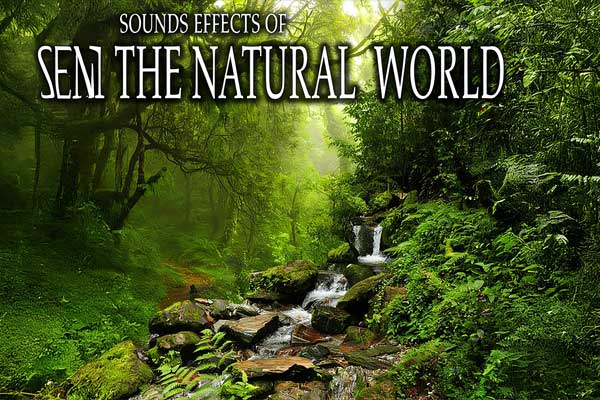 100个大自然环境氛围音效素材 Sound Ideas Sound Effects Of The Natural World