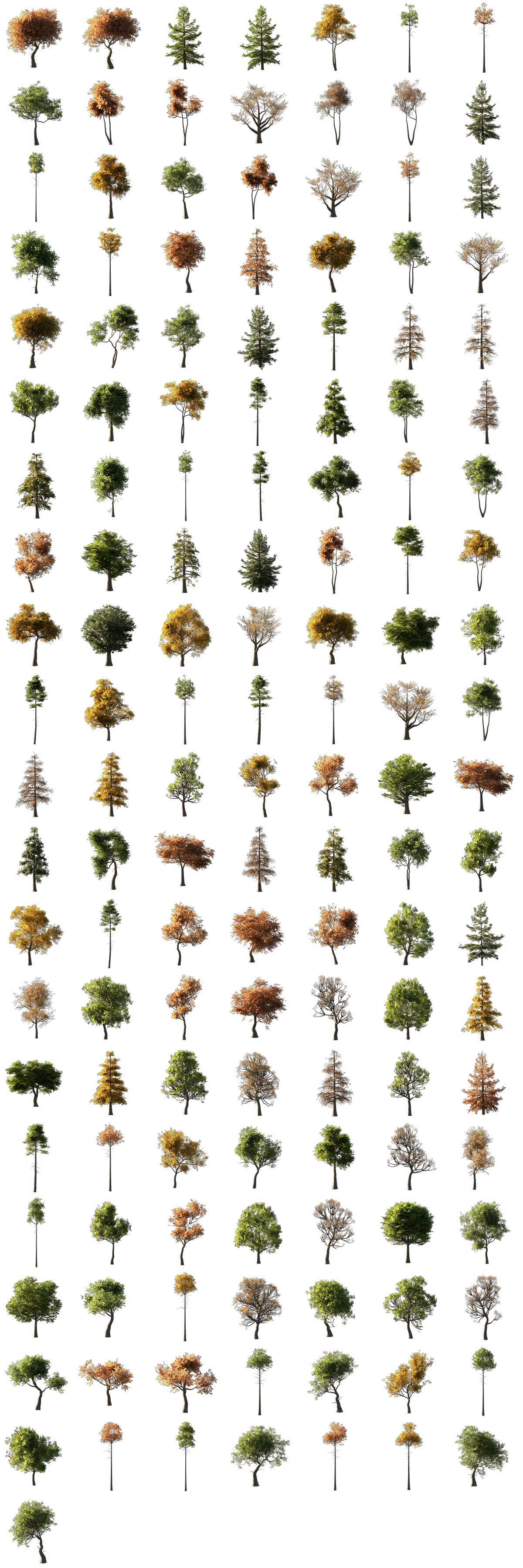 Blender一键树木森林植物生成插件含资产库 Lazy Forest V2.0.5 Generator Addon + Tress library(资产库)