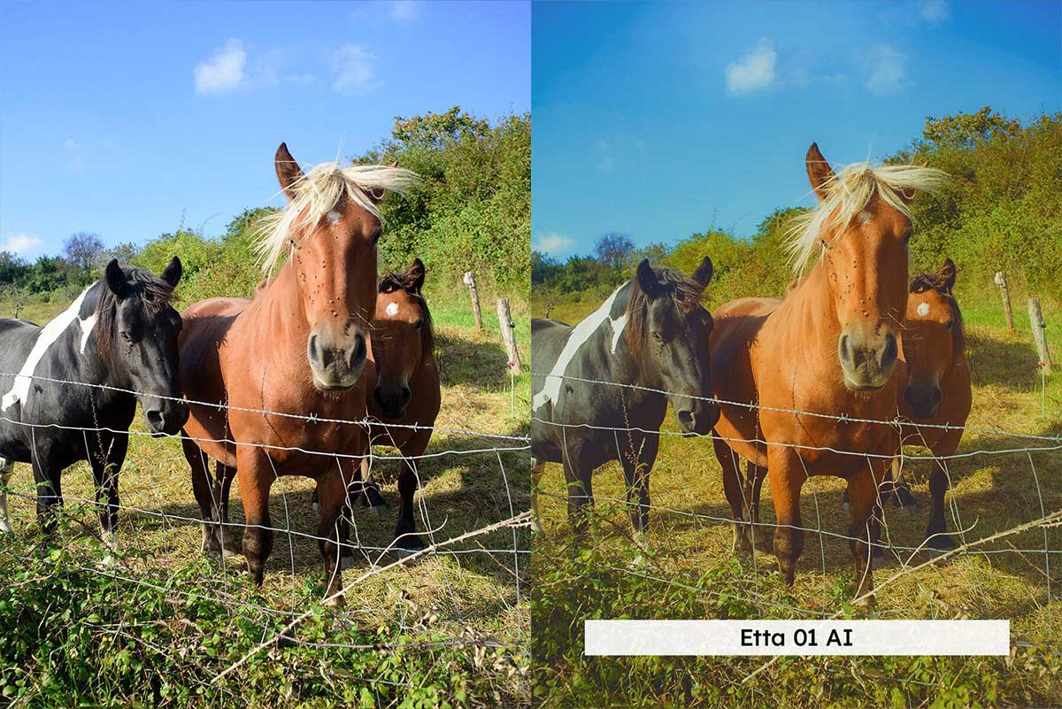 草原风格摄影后期调色LUTs+LR预设包 20 Prairies Lightroom Presets and LUTs