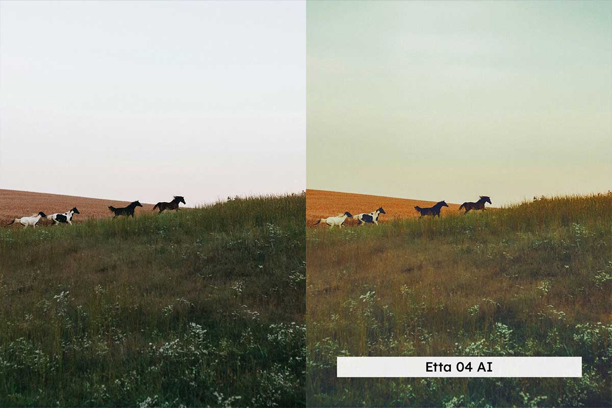 草原风格摄影后期调色LUTs+LR预设包 20 Prairies Lightroom Presets and LUTs