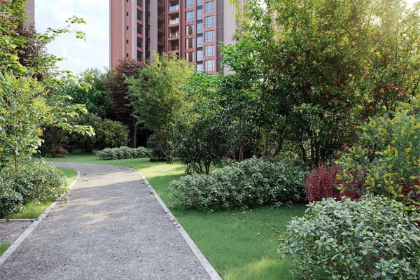 11种桂花樱花石榴树模型树木植物3D模型(FBX通用格式) Maxtree – Plant Models Vol 59