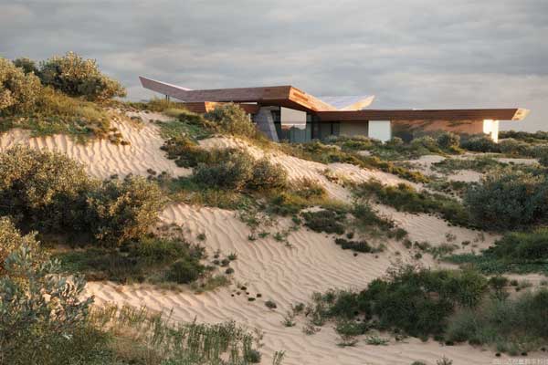 高质量沙漠干旱地区植物3D模型(C4D,Blender,Max,Maya,FBX) Maxtree – Plant Models Vol. 180