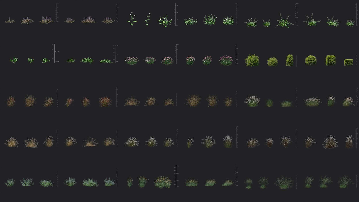 湿地观赏花草植物模型3D模型下载(Max/Corona/VRay,FBX,mat) Maxtree – Plant Models Vol. 49