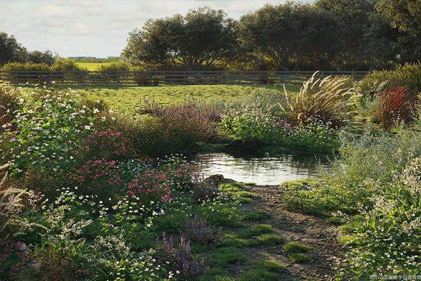 湿地观赏花草植物模型3D模型下载(Max/Corona/VRay,FBX,mat) Maxtree – Plant Models Vol. 49