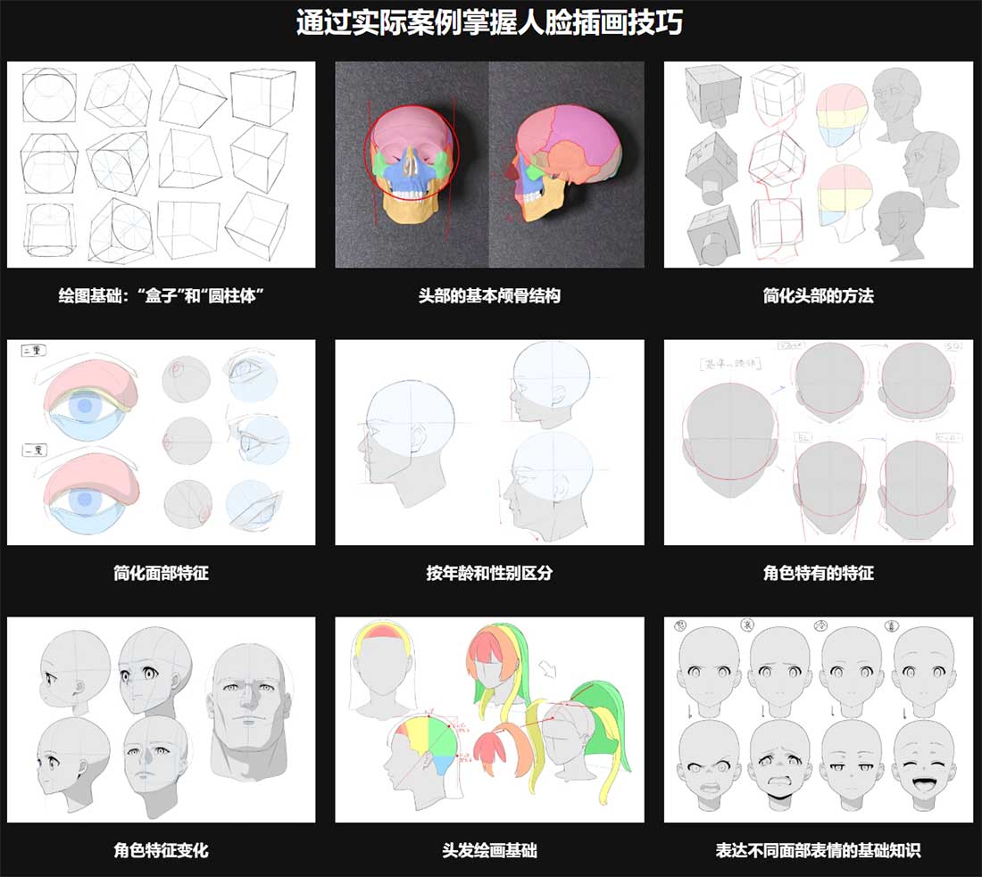 CSP动漫人物角色头部多角度绘画视频教程(中文字幕) A Guide for Drawing Faces So You Can Draw ...