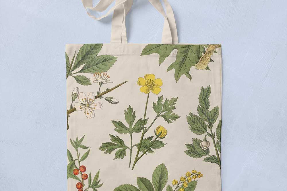 13款树叶花卉果实草药手绘插画PNG免扣设计素材 Botanica Vol. 1 – Vintage Plants Illustrations