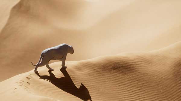 Houdini狮子脚踩沙地特效工程文件 Lion Sand Simulation Scene Files