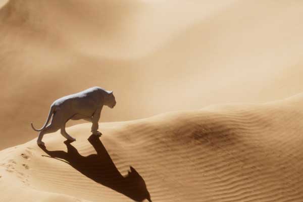 Houdini狮子脚踩沙地特效工程文件 Lion Sand Simulation Scene Files