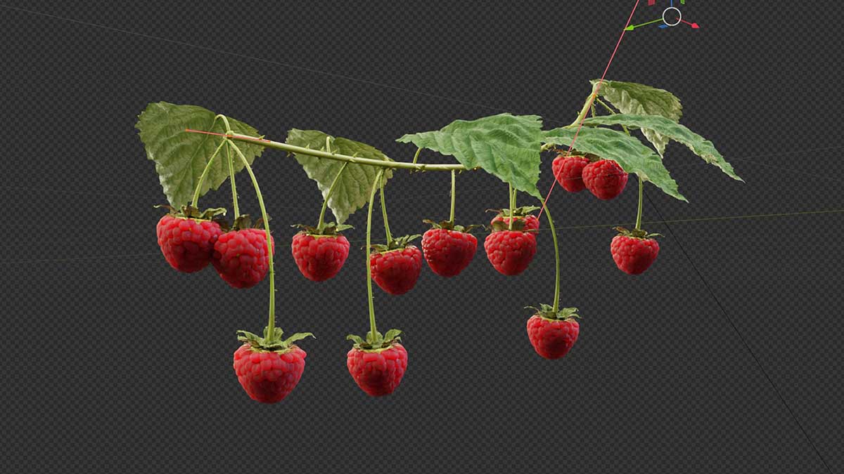 Blender高质量葡萄草莓樱桃蓝莓水果生长动画资产预设 Growing Fruits – Geo Nodes Curve Asset Pack