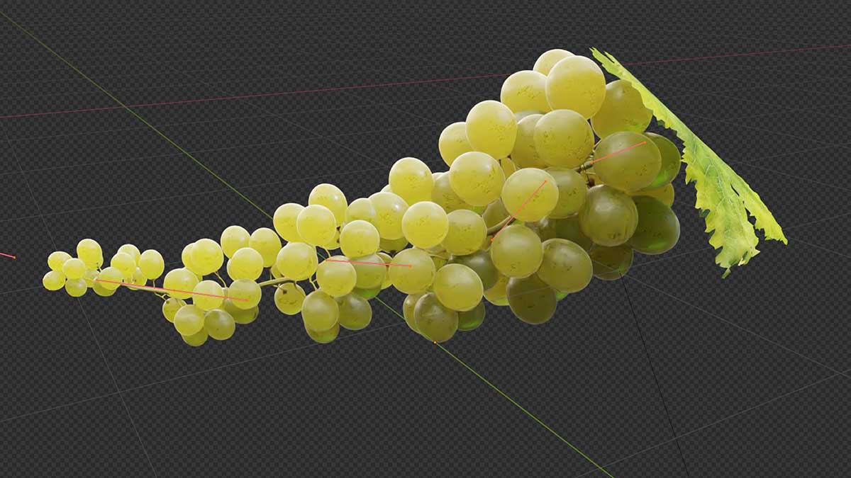 Blender高质量葡萄草莓樱桃蓝莓水果生长动画资产预设 Growing Fruits – Geo Nodes Curve Asset Pack