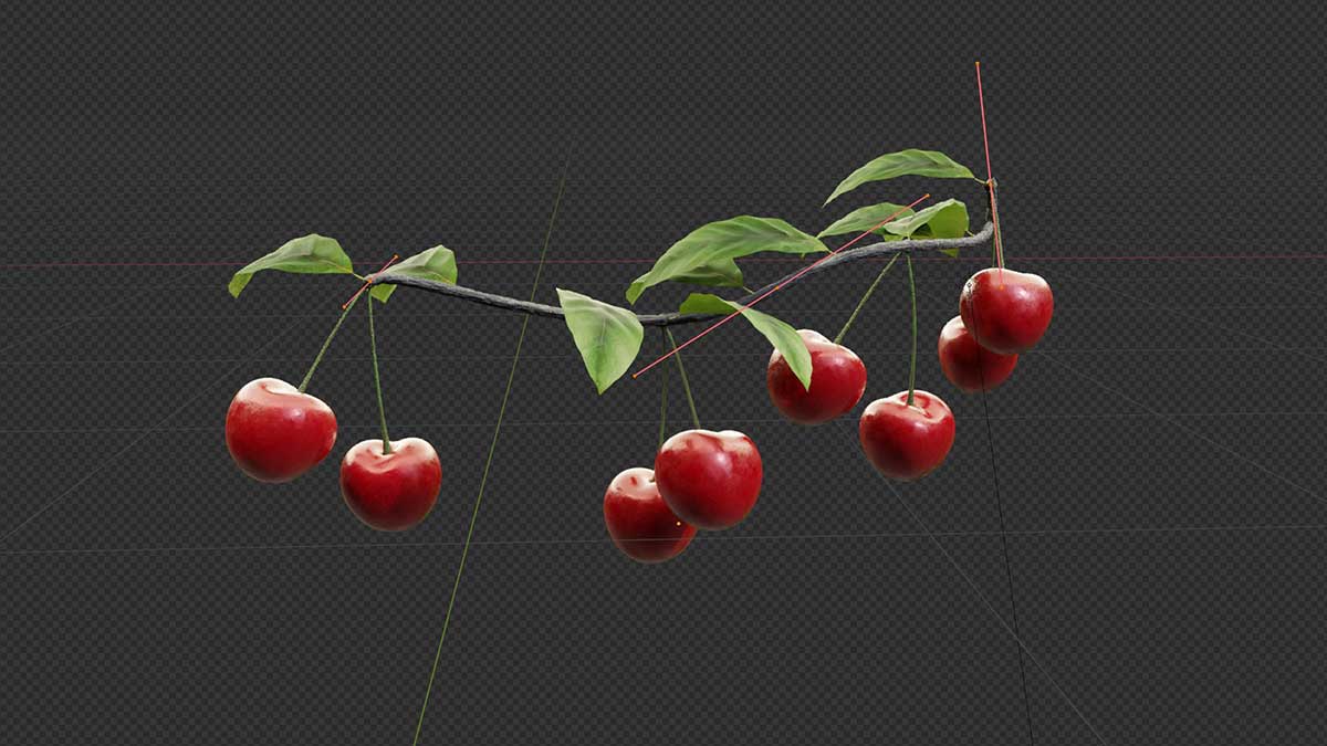 Blender高质量葡萄草莓樱桃蓝莓水果生长动画资产预设 Growing Fruits – Geo Nodes Curve Asset Pack