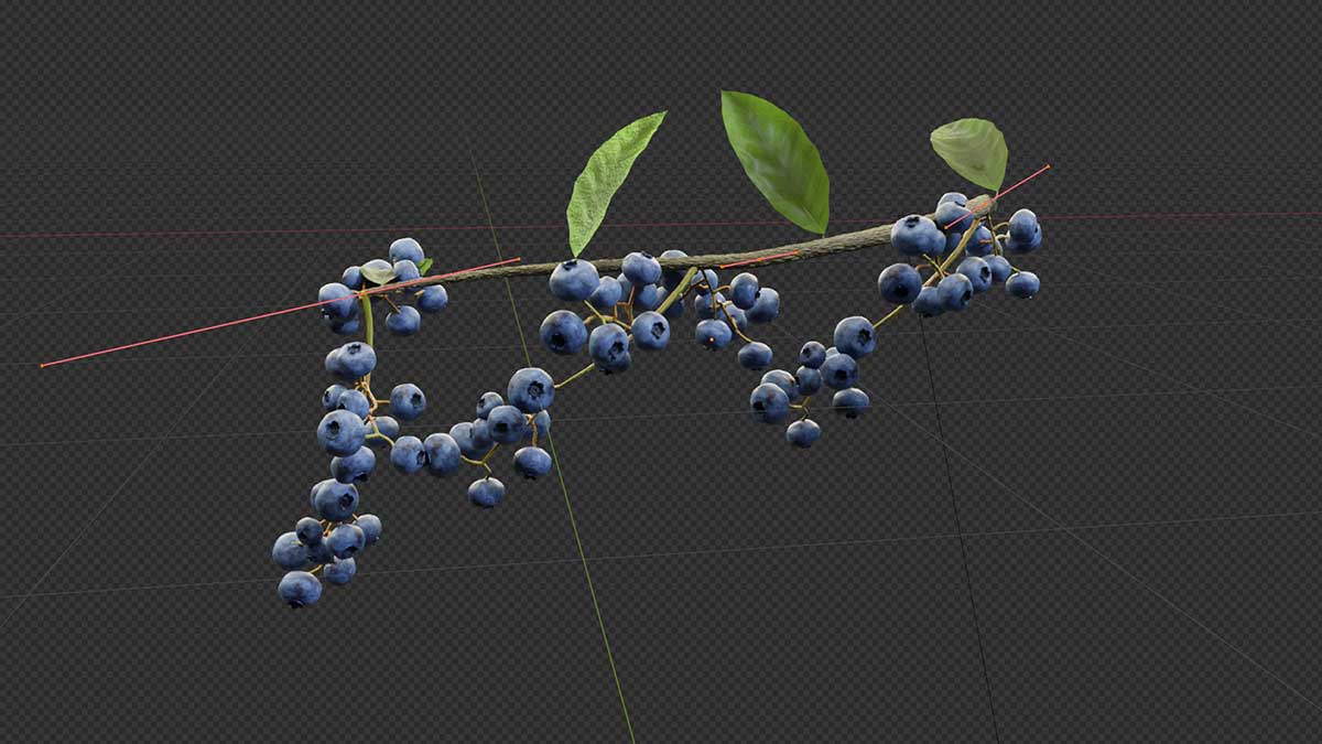 Blender高质量葡萄草莓樱桃蓝莓水果生长动画资产预设 Growing Fruits – Geo Nodes Curve Asset Pack