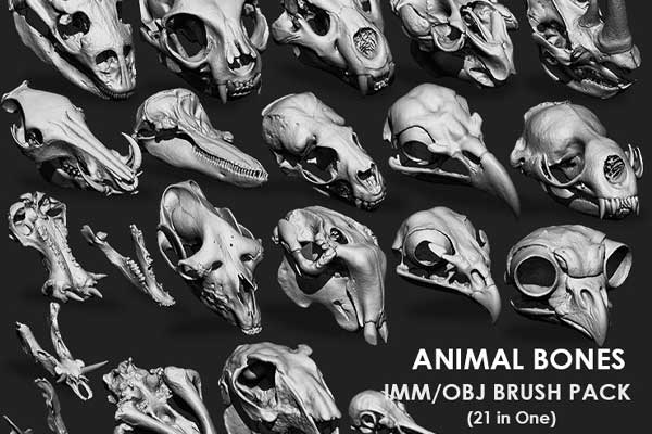 21组不同类动物头骨骨骼3D模型素材下载(STL,OBJ,FBX,ZBP) Artstation – Animal Bones Collection IMM\Stl\Obj Brush Pack 21 in One Vol.1