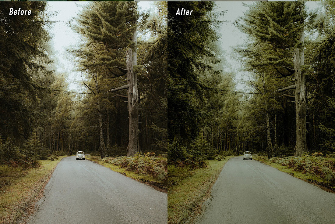 10款电影感绿色调风景摄影照片调色LR预设 LR CVR Presets – 10 Cinematic Greens Lightroom Presets
