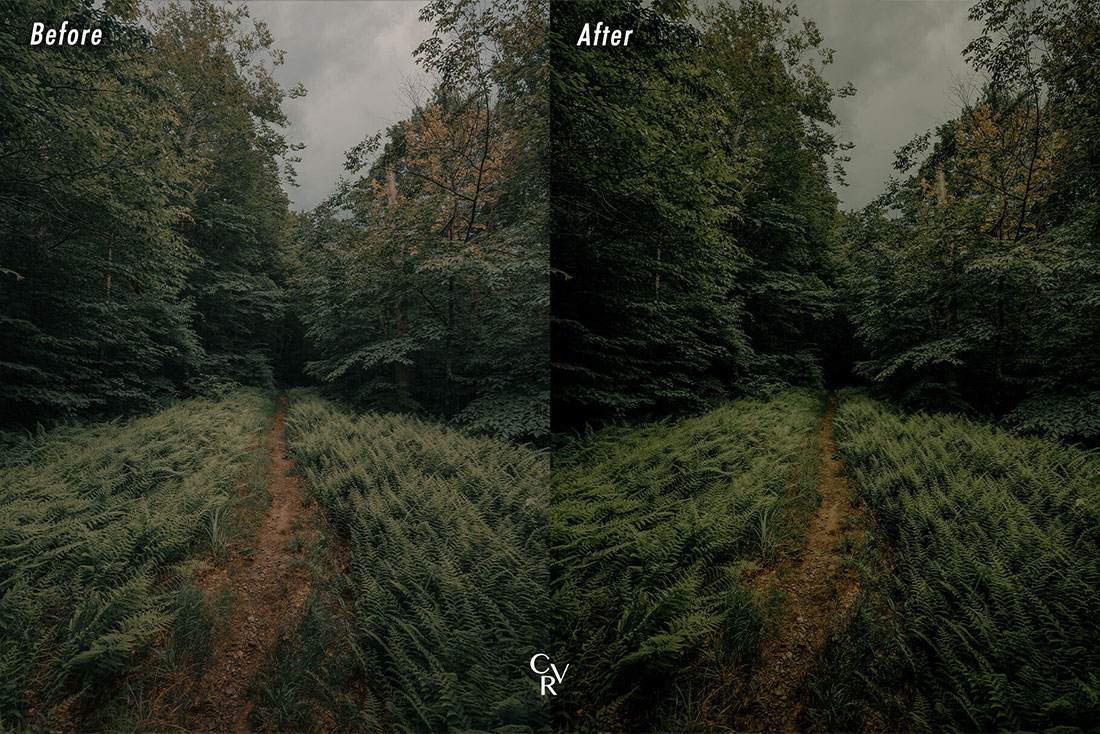 10款电影感绿色调风景摄影照片调色LR预设 LR CVR Presets – 10 Cinematic Greens Lightroom Presets