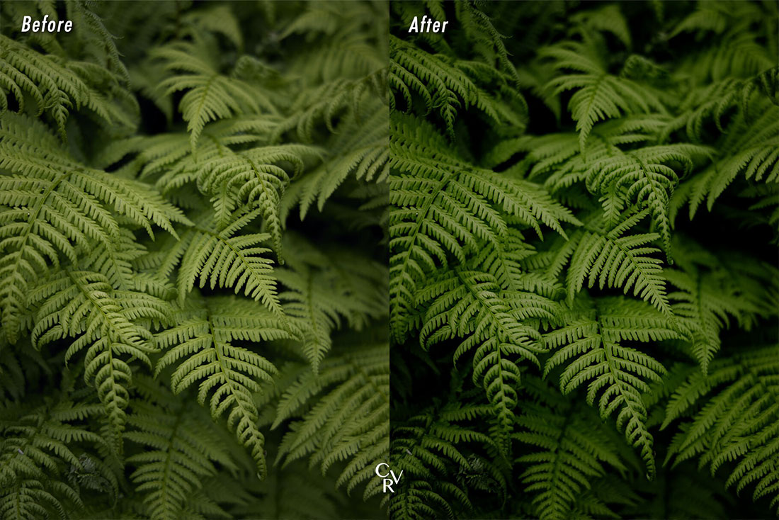 10款电影感绿色调风景摄影照片调色LR预设 LR CVR Presets – 10 Cinematic Greens Lightroom Presets