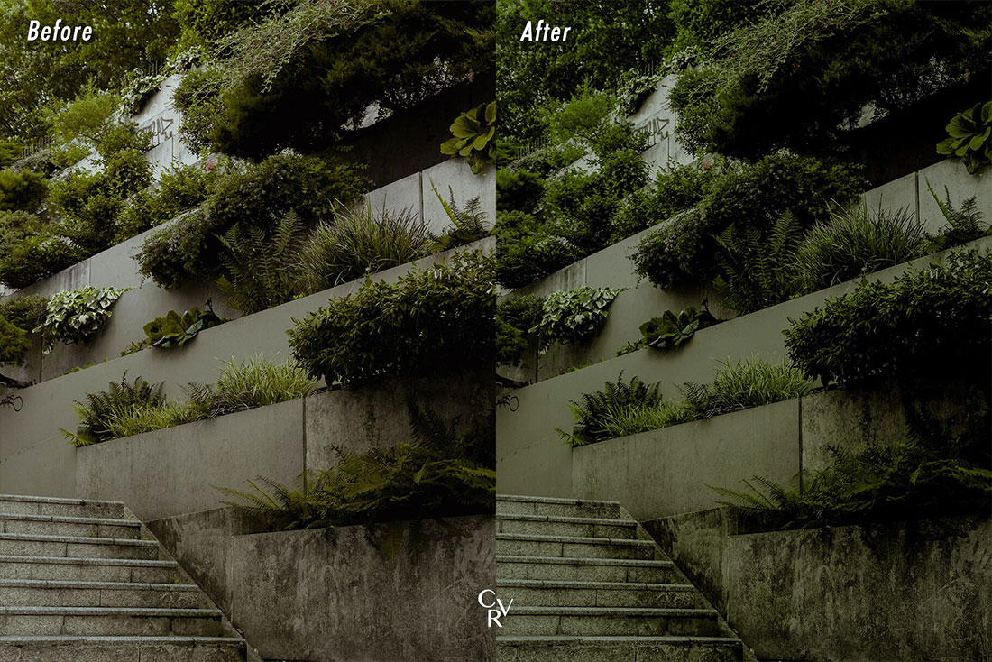 10款电影感绿色调风景摄影照片调色LR预设 LR CVR Presets – 10 Cinematic Greens Lightroom Presets
