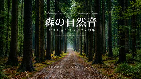 森林自然白噪声环境音疗愈放松背景音乐素材合集 Forest Nature Sound