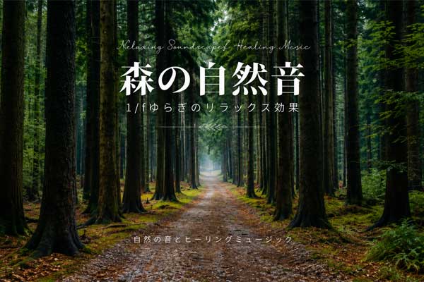 森林自然白噪声环境音疗愈放松背景音乐素材合集 Forest Nature Sound
