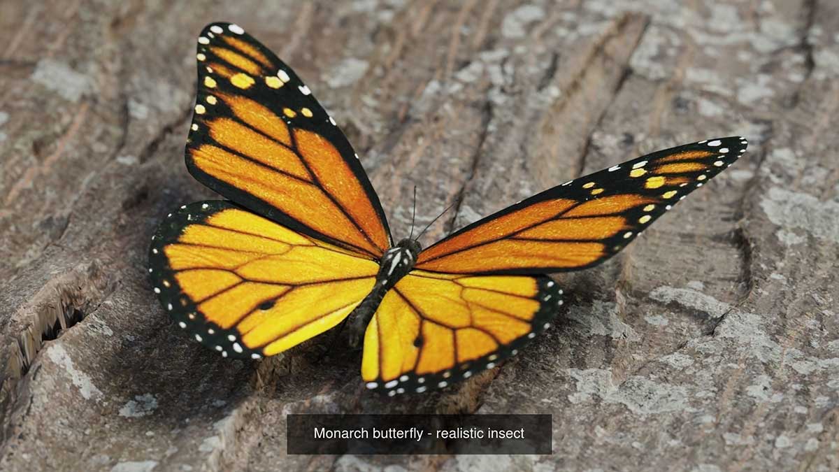 Blender高精度写实蝴蝶昆虫3D模型素材合集 Butterfly Realistic 3D Model Pack
