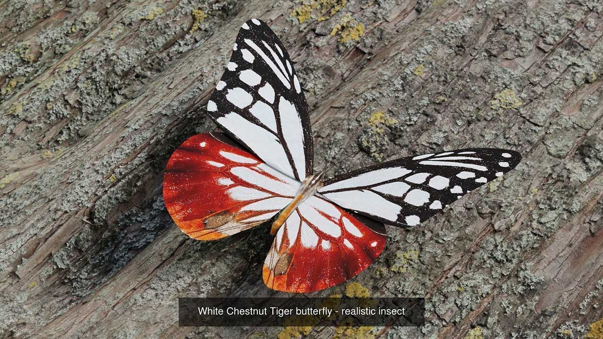 Blender高精度写实蝴蝶昆虫3D模型素材合集 Butterfly Realistic 3D Model Pack