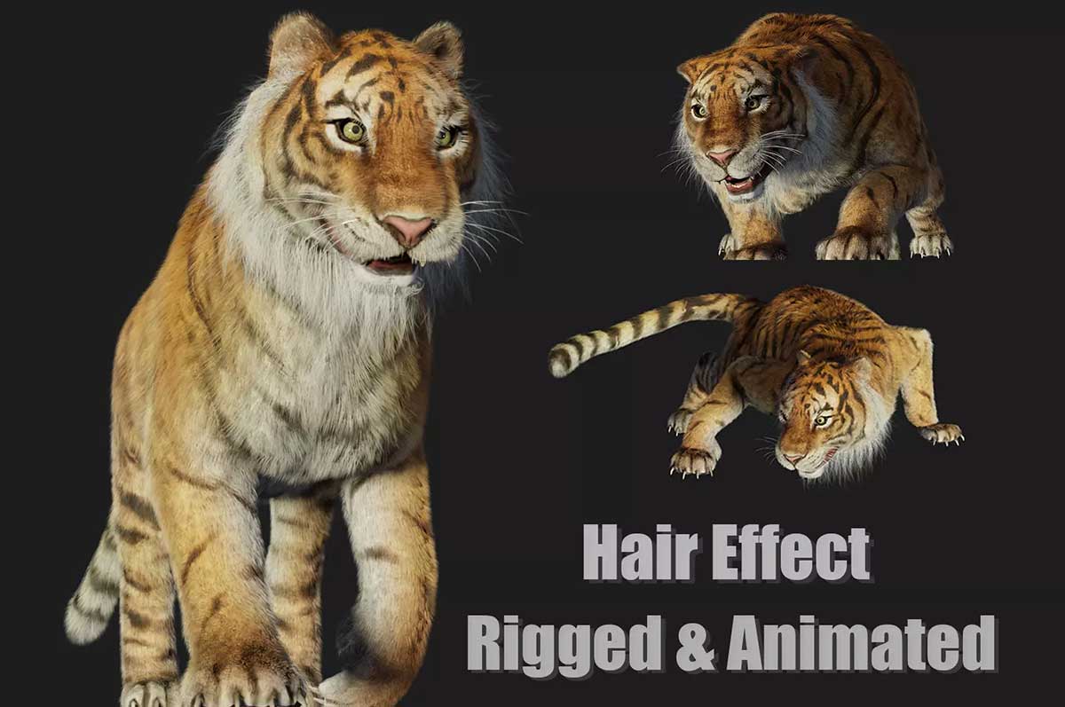 带绑定的低多边形老虎猛兽动画3D模型(FBX通用格式) Rigged Tiger Wild Cat Beast