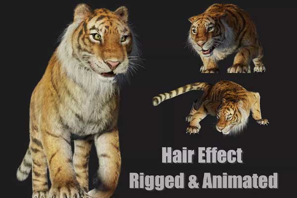 带绑定的低多边形老虎猛兽动画3D模型(FBX通用格式) Rigged Tiger Wild Cat Beast